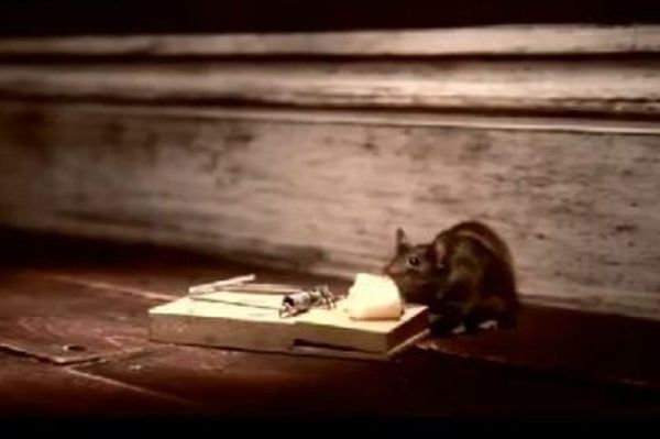 Ο,τι δε σε σκοτώνει σε κάνει πιο δυνατό (video)