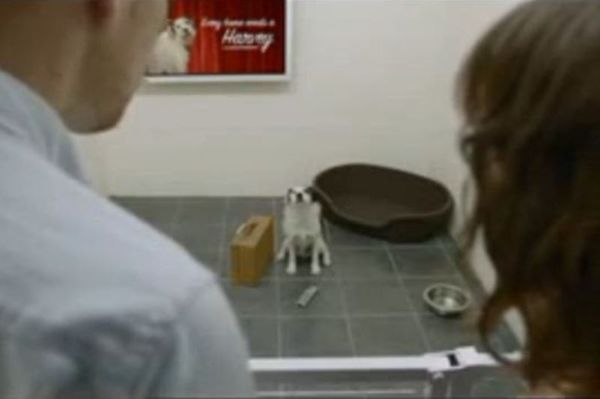 Αυτός ο σκύλος ξέρει τη δύναμη της διαφήμισης (video)