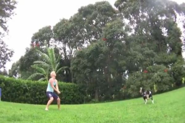 Εκπληκτικό βίντεο: Δείτε σκύλο να παίζει... βόλεϊ