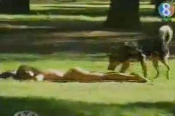 Ουπς: Αυτός ο σκύλος... δαγκώνει πραγματικά! (video)