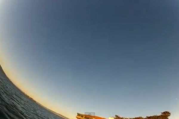 Κλέφτης... γλάρος με κάμερα στο στόμα (video)