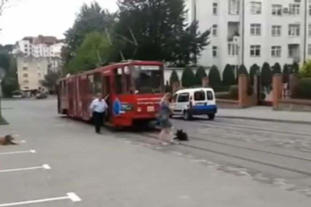 Εκπληκτικό: Σκύλος προσπάθησε να... αυτοκτονήσει στο τραμ!