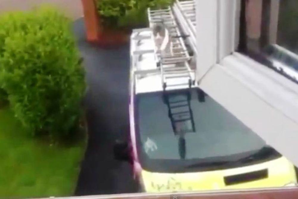 Απίστευτο: Γάτα πηδάει από οροφή φορτηγού σε περβάζι