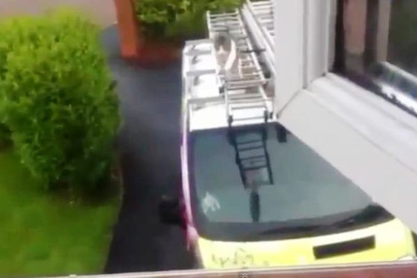 Απίστευτο: Γάτα πηδάει από οροφή φορτηγού σε περβάζι