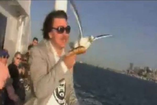 Εκπληκτικό: Γλάρος του παίρνει το... ντόνατ από το στόμα! (video)