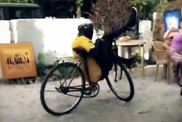 Βάζει... κάτω όλους τους ΒΜΧers! (video)