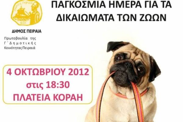 Ο Δήμος Πειραιά γιορτάζει την Παγκόσμια Ημέρα των Ζώων 