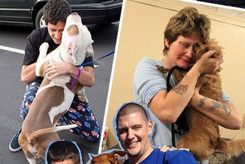 Τυφώνας Sandy: Τα ζωάκια που χάθηκαν συναντούν και πάλι τα αφεντικά τους