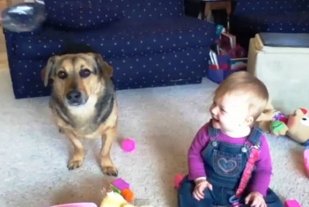 Ένας σκύλος, ένα μωρό και πολλές… φούσκες!