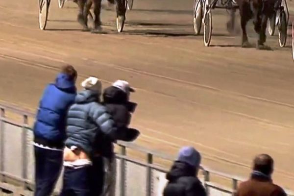 Κάνουν σεξ την ώρα της ιπποδρομιακής κούρσας (video)