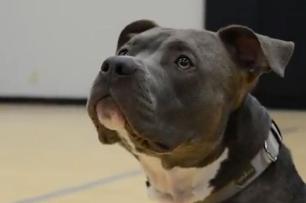 MLB: Απαγορευμένος ο Slater! (video+photos)