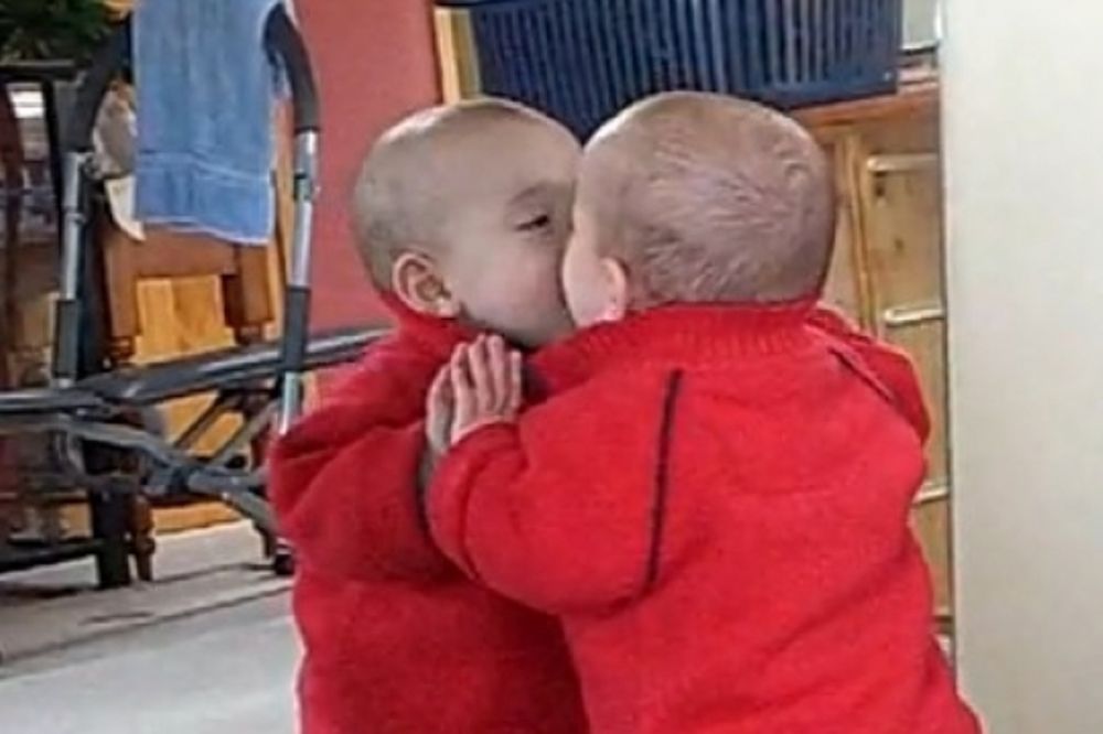 Βίντεο: Μπέμπης φιλάει τον εαυτό του στον καθρέφτη! 