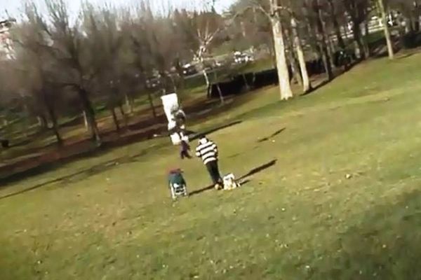 ΣΟΚ: Χρυσαετός προσπάθησε να αρπάξει παιδί (Video)