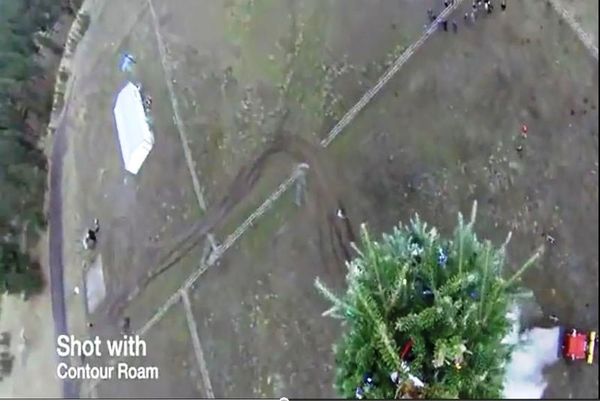 Πώς να ξεφορτωθείτε το χριστουγεννιάτικο δέντρο (video)