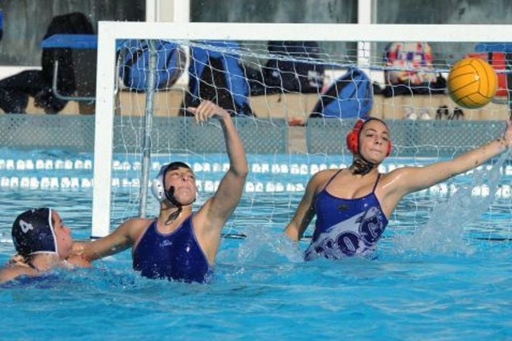 Πρωτάθλημα Νέων Γυναικών: Οι ομάδες που προκρίθηκαν στα τελικά