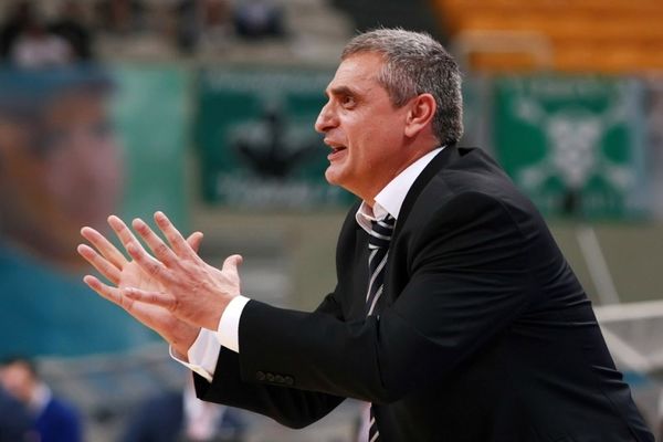 Πεδουλάκης: «Το μυαλό μας στο παρκέ»