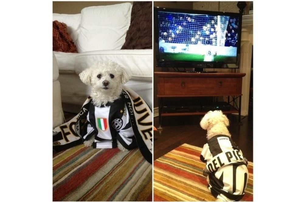 Γιουβέντους: Ο πιο γλυκός οπαδός είναι… σκύλος!