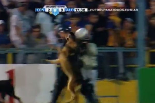 Αργεντινή: Σκύλος κάνει κεφαλιά! (video)