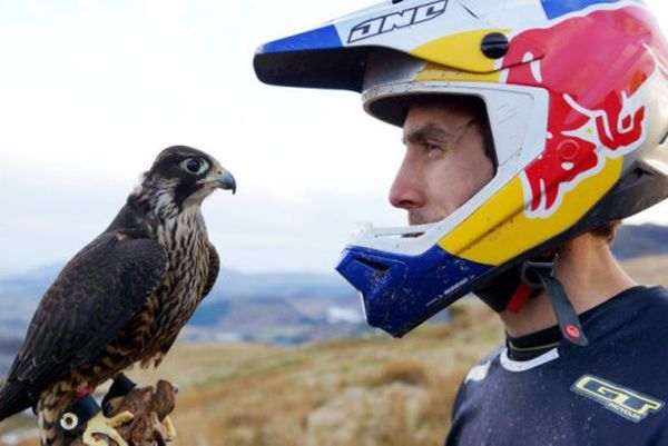 Άνθρωπος σε ποδήλατο vs. Γεράκι (video)