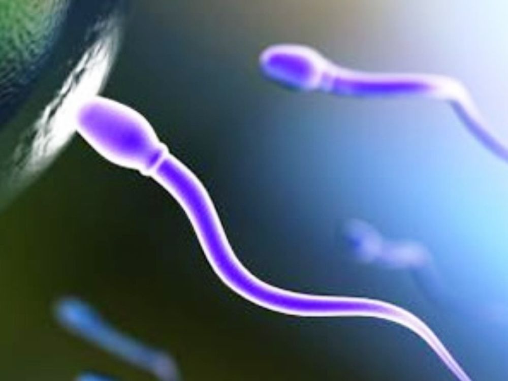 To σπέρμα κάνει καλό στην υγεία των γυναικών