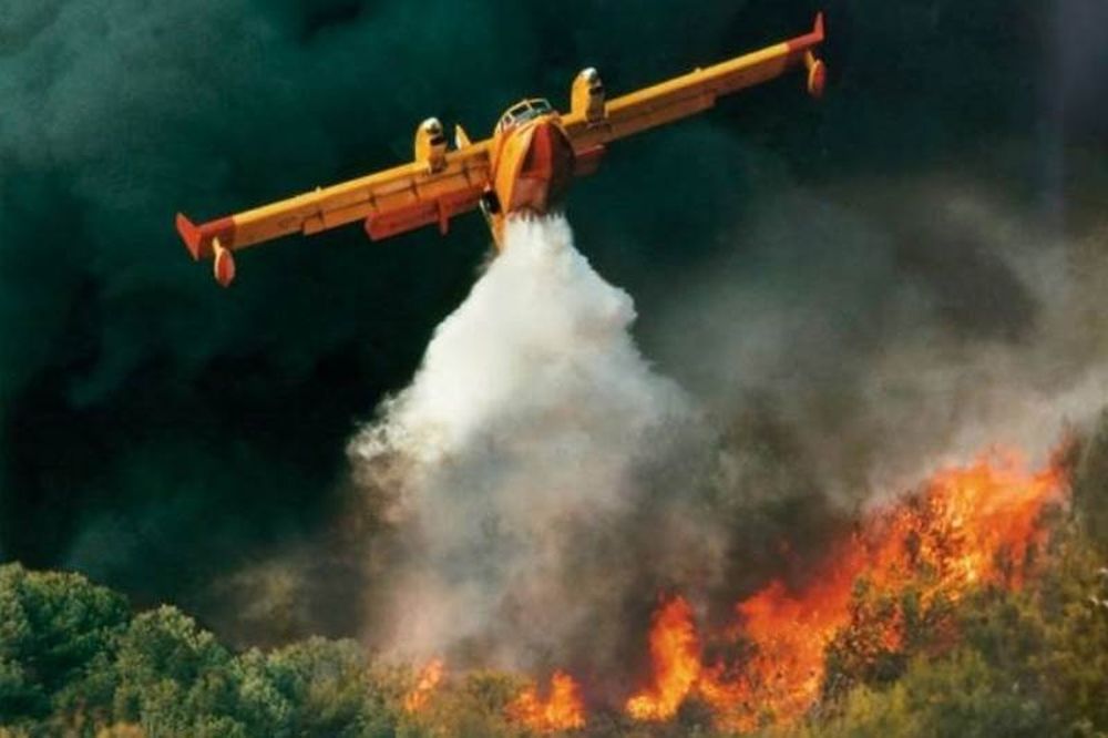 Συνελήφθησαν δύο αλλοδαποί για εμπρησμό στη Σάμο