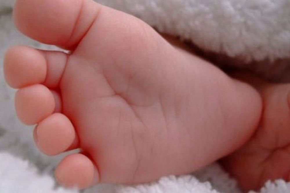 ΣΟΚ: Ζωντανό βρέθηκε το νεογέννητο αγοράκι που θεωρούνταν νεκρό σε χωματερή της Ηλείας!