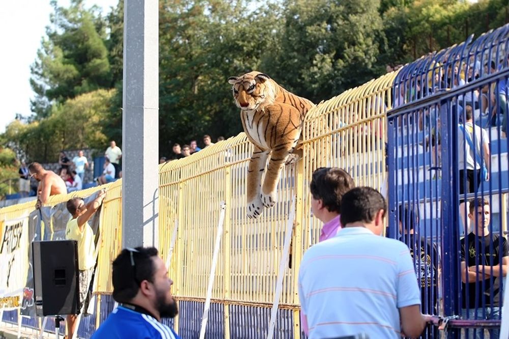 ΑΕΚ: Στα… κάγκελα ο Τίγρης! (photos)