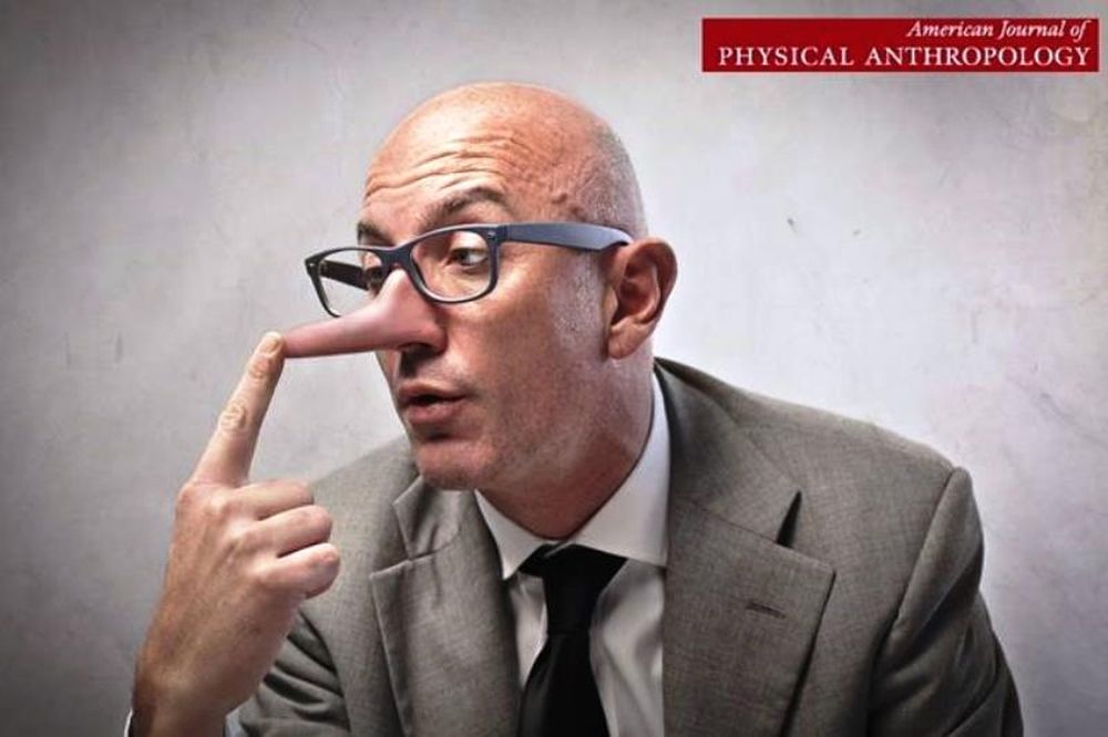 Γιατί οι άνδρες έχουν μεγαλύτερη μύτη από τις γυναίκες;