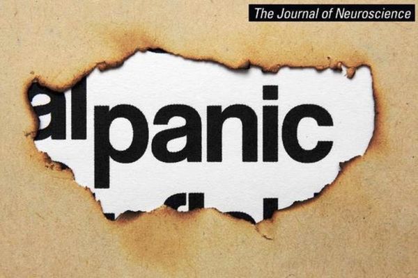 Βρήκαν το γονίδιο που προκαλεί την κρίση πανικού