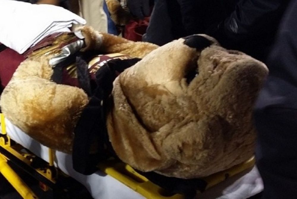 Αμερικανικό ποδόσφαιρο: Πήραν με το φορείο τη μασκότ! (photos)