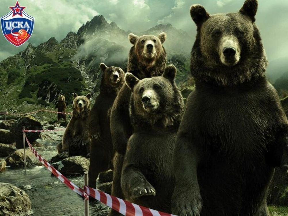 ΤΣΣΚΑ: Ο Παναθηναϊκός και οι... αρκούδες (photo)