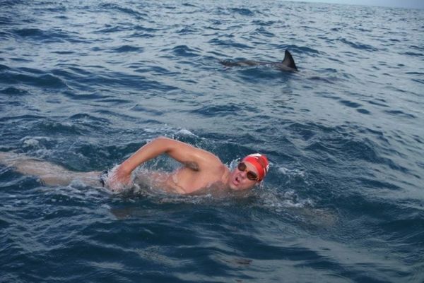 Κολυμβητής σώθηκε από καρχαρία μέσω δελφινιών (video)