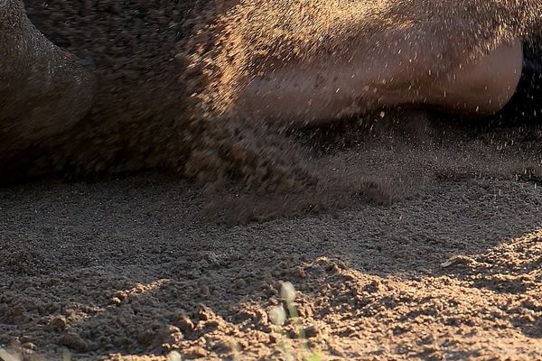 Ταλίν 2014: Οι θέσεις των Ελλήνων αθλητών