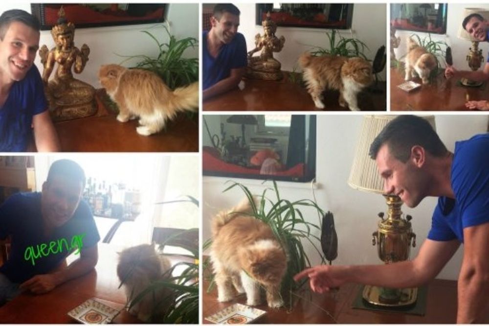 A green star & a red star ..