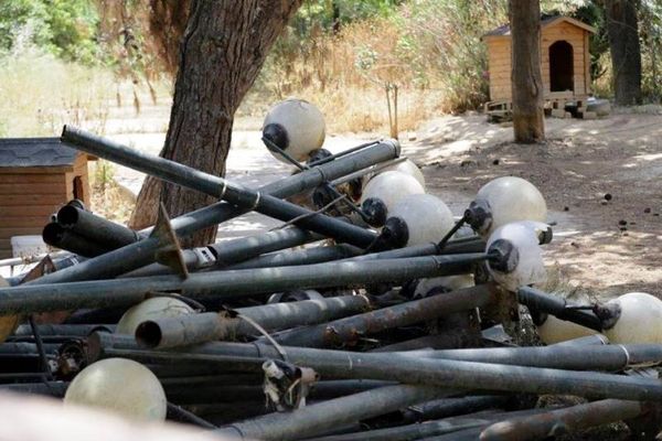 Το Άλσος της Νέας Φιλαδέλφειας από τα… μάτια της ΑΕΚ! (photos)