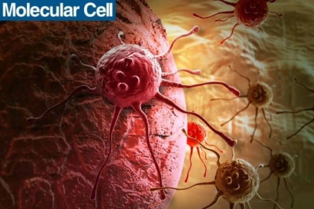 Ανακάλυψαν γονίδιο που ελέγχει την εξάπλωση του καρκίνου (video)
