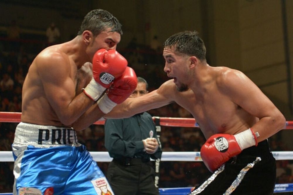 Μποξ: «Ζέσταμα» για «Mickey» Roman (videos)