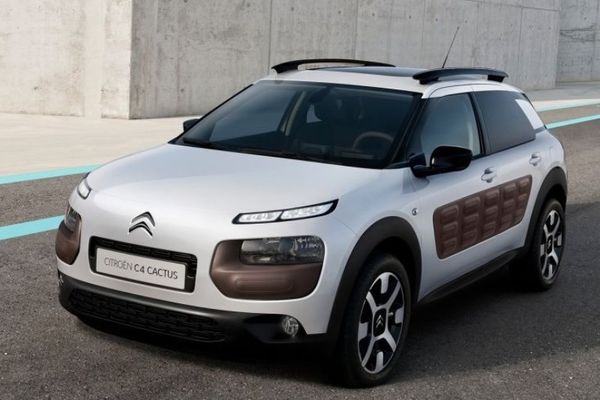 Αύξηση παραγωγής για το C4 Cactus