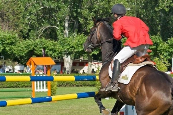 Ιππασία: Νωρίτερα ο τέταρτος αγώνας Κυπέλλου Ελλάδας