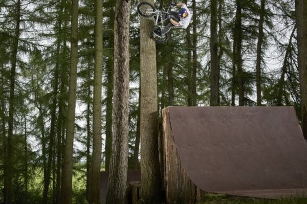 BMX: «Σκαρφαλώνουν» στα δέντρα με τα ποδήλατα! (photos)