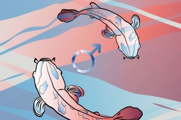 O τρυφερός Άρης στους Ιχθύες και πως θα επηρεάσει το κάθε ζώδιο