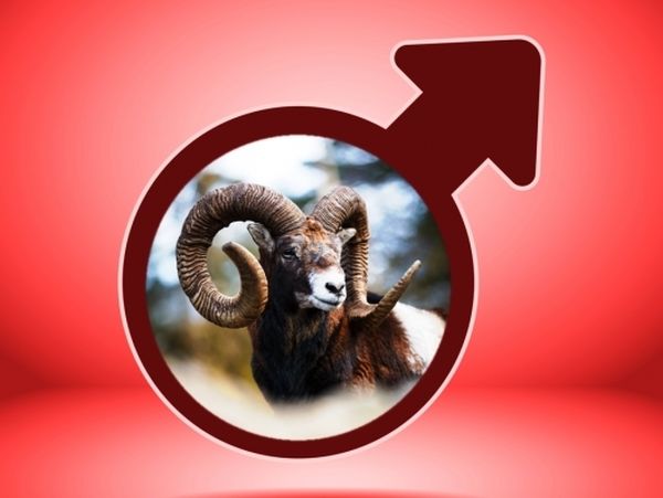 O δυναμικός Άρης στον Κριό και πως θα επηρεάσει το κάθε ζώδιο