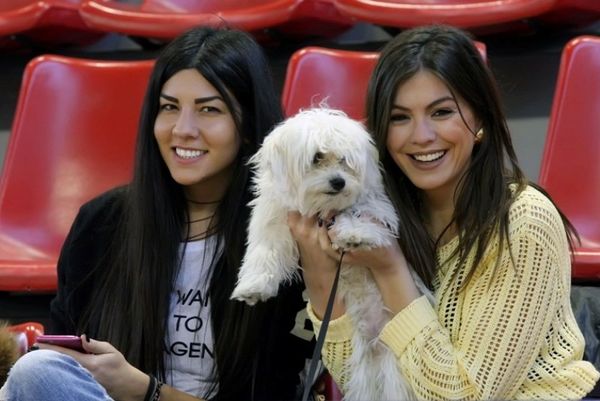 Basket League: Ωραίο θέαμα και στις κερκίδες (photos)