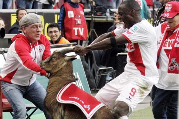 Κολωνία: Έπιασε τον τράγο από τα κέρατα ο Ούγιαχ (video)