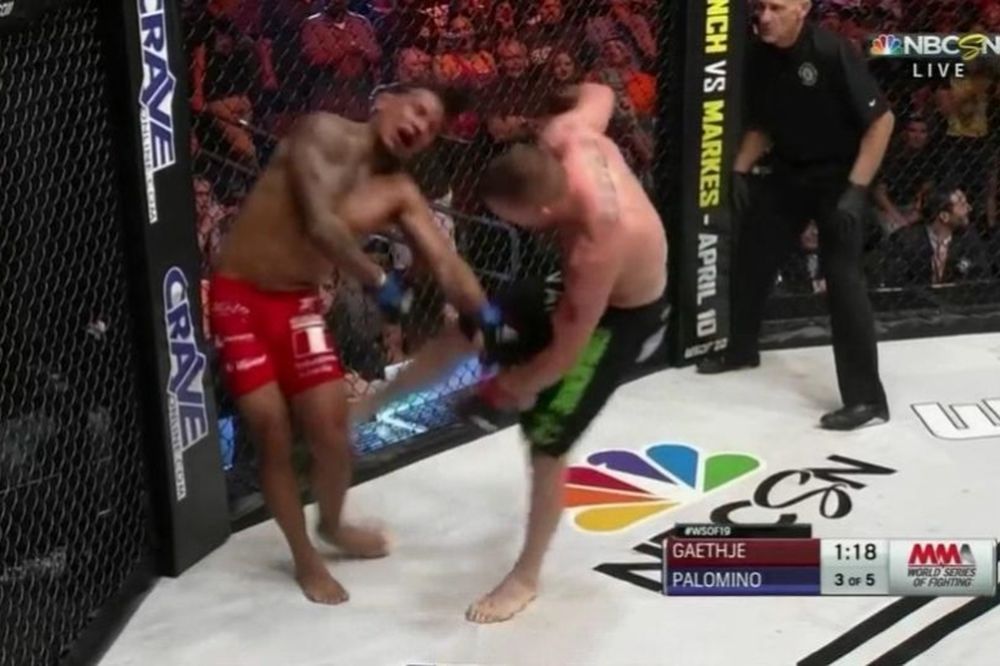 WSOF 19: Τρομερός Gaethje στην Αριζόνα (videos)