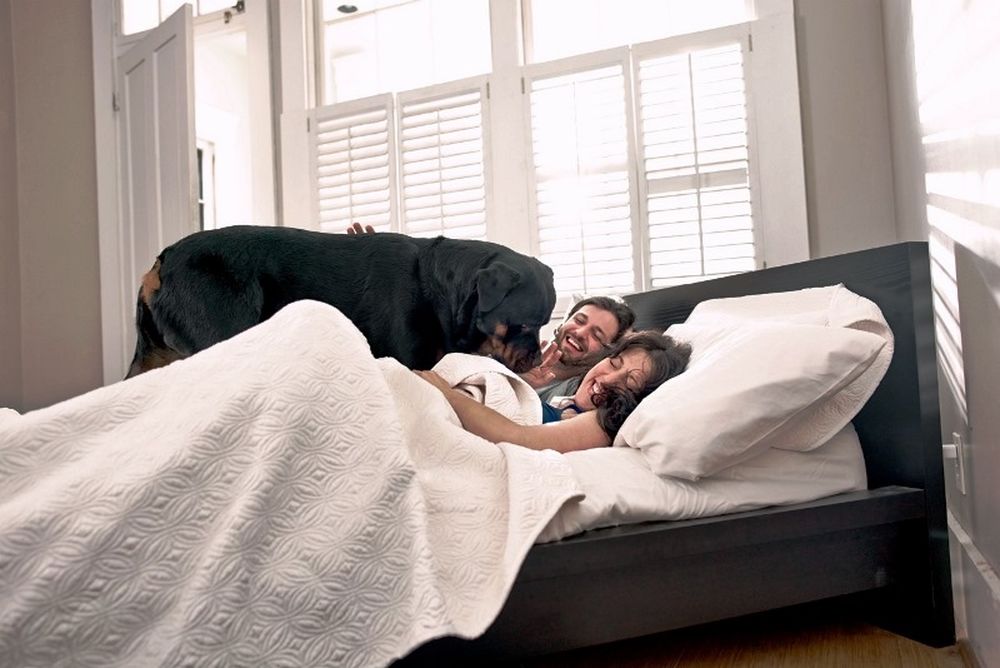 Όταν σε ξυπνάει ο πιο πιστός φίλος (video)