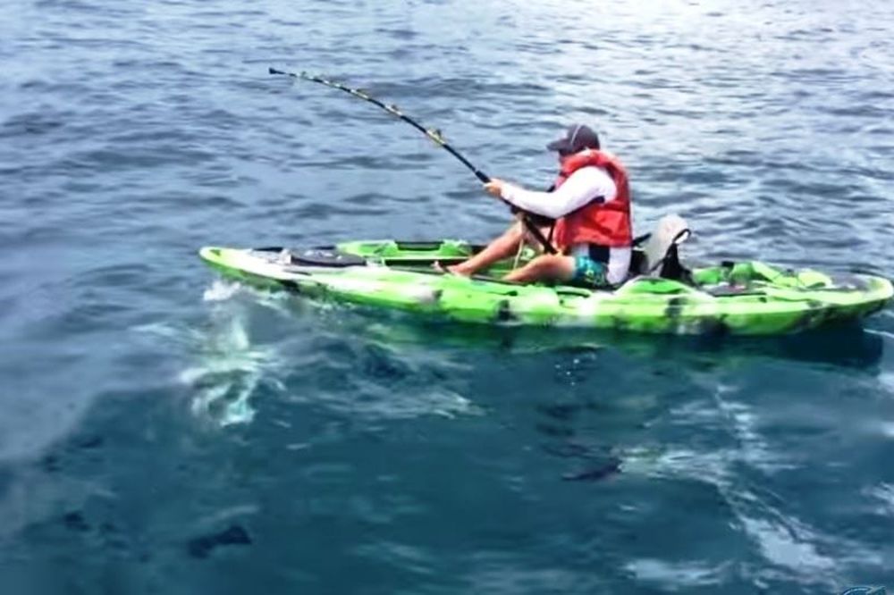 Καρχαρίας αναποδογύρισε το καγιάκ του ψαρά (video)