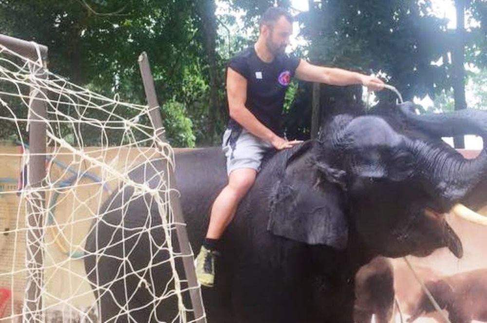 Μπάλα με… ελέφαντες ο Χούτος! (photo)