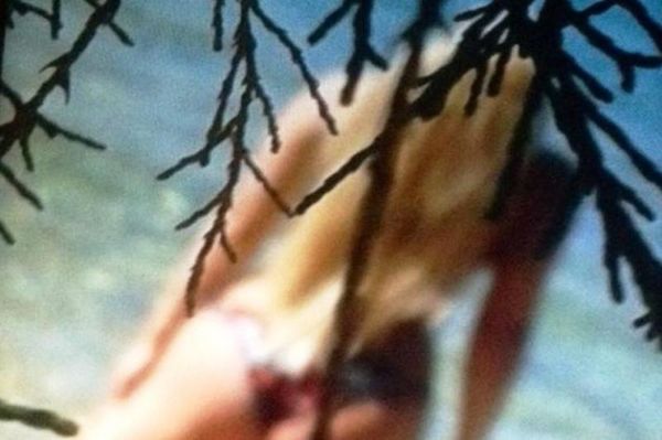 Topless Ελληνίδα τραγουδίστρια! (photos)