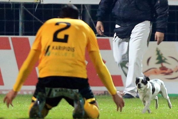Σκύλος έκανε... ντου στο Δόξα Δράμας-Άρης (photos)